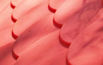 Shipdham plastic roof costs